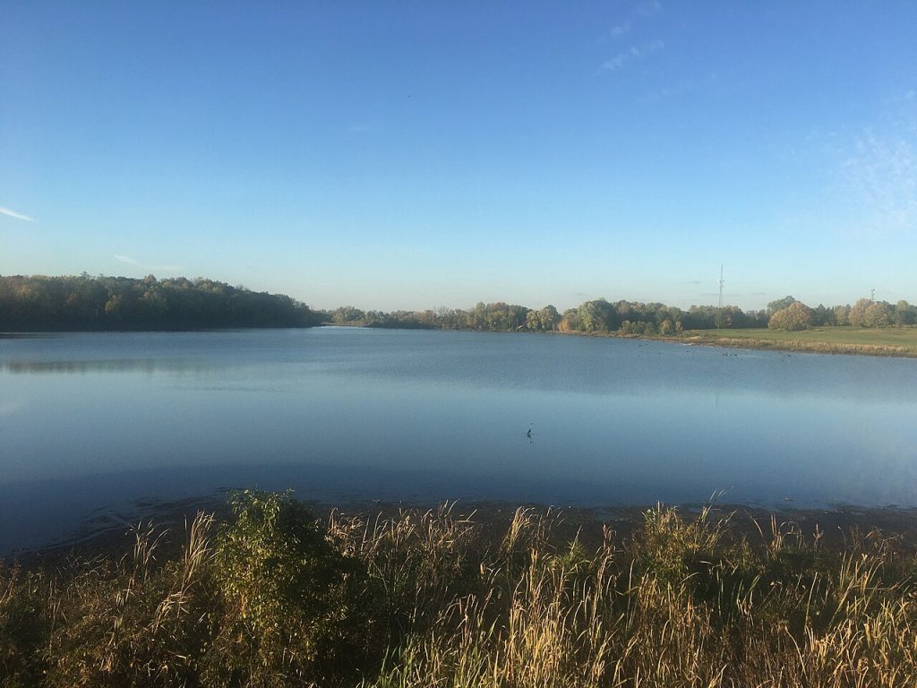 Water and trees at Celery Bog in West Lafayette, Indiana